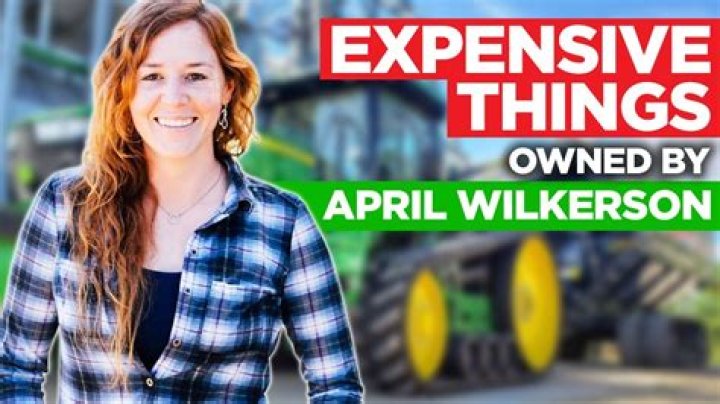 April Wilkerson Net Worth & Earnings (2024)