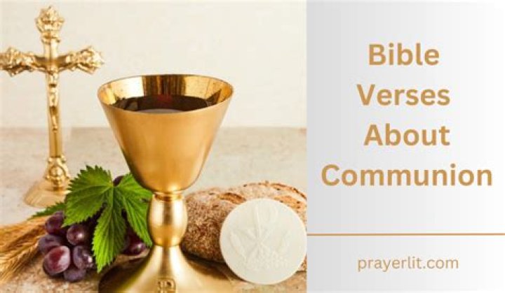 Cover for Holy Communion Cup — Blessed Celebration