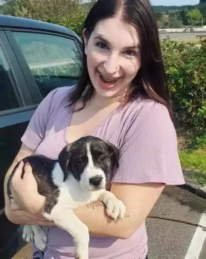 Paige Steele Biography, Age, Height, Weight, Family & More